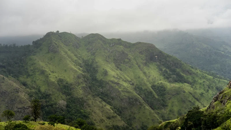 ella rock