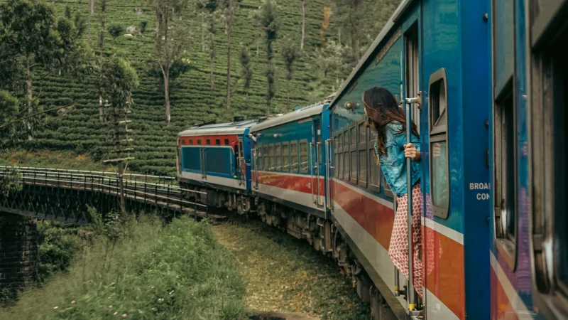 ella train ride