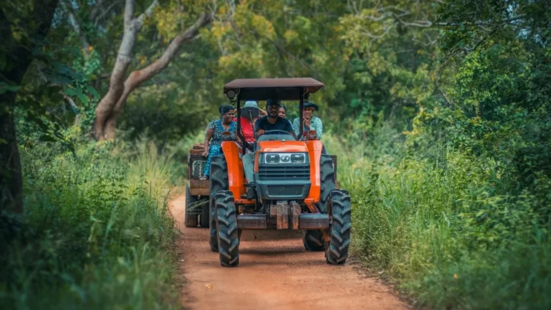 Farmers driving a tractor