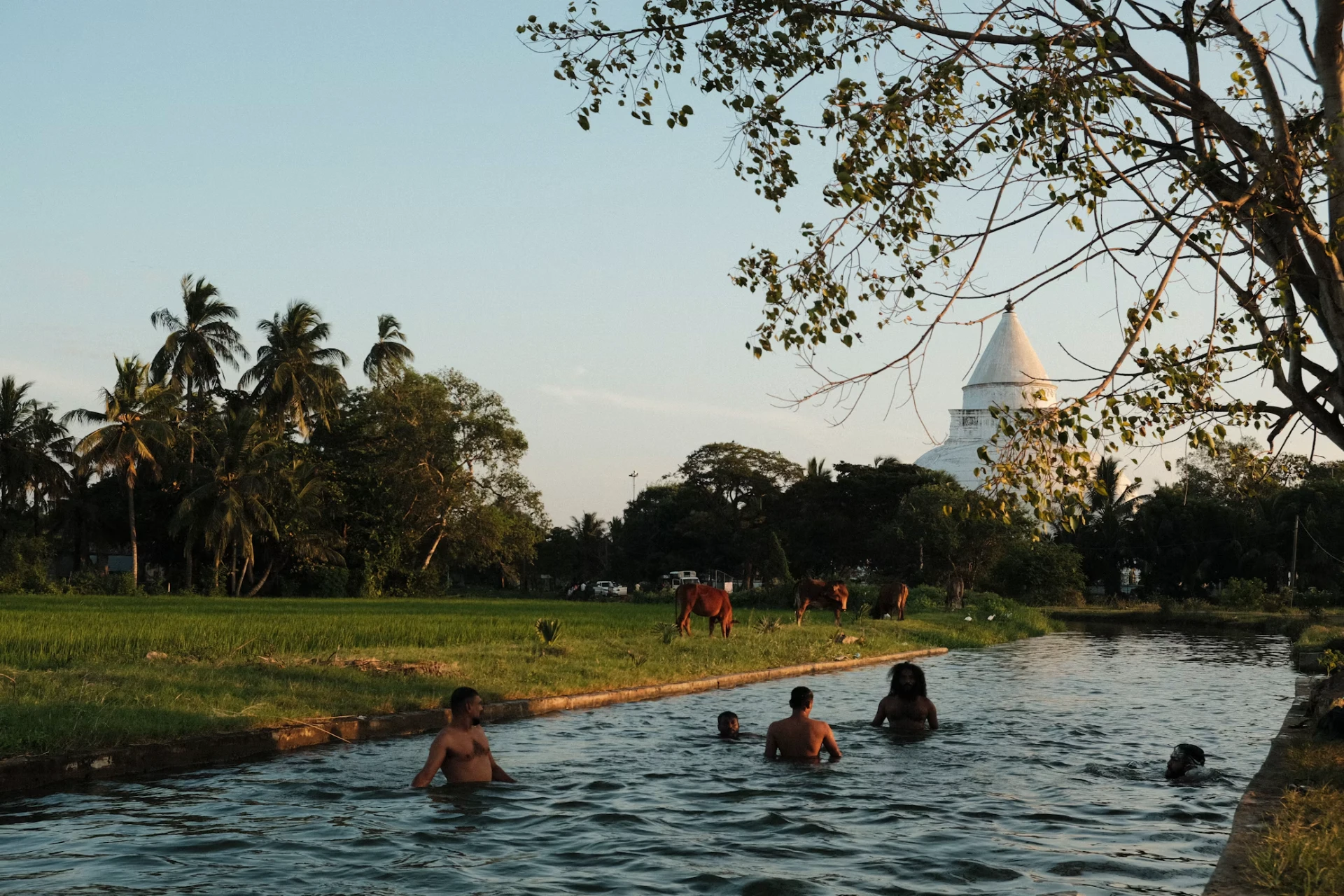 Read more about the article Tissamaharama