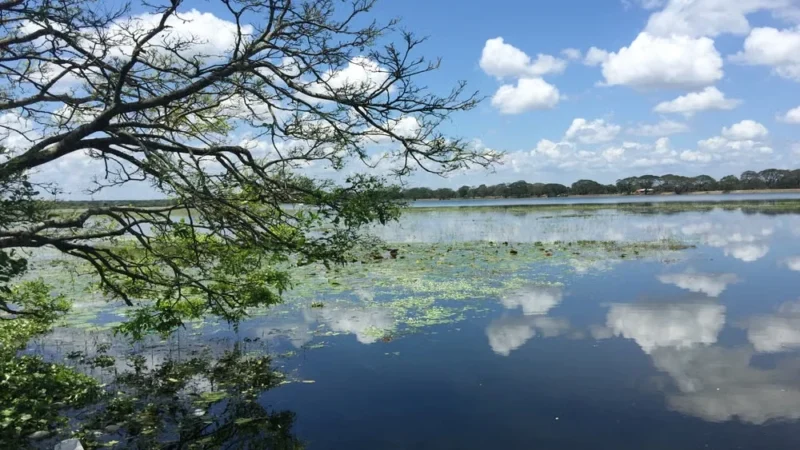 lake in Anuradhapura